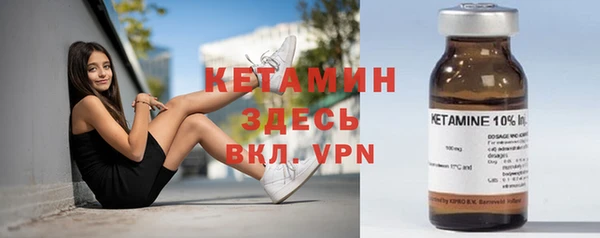 сатива Дмитриев