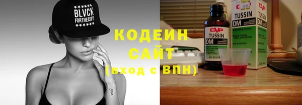 сатива Дмитриев