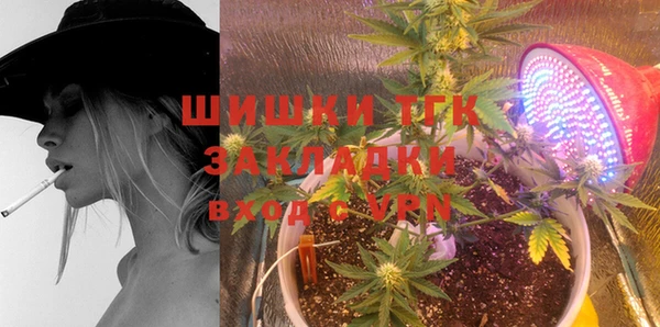 сатива Дмитриев