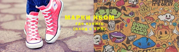 сатива Дмитриев