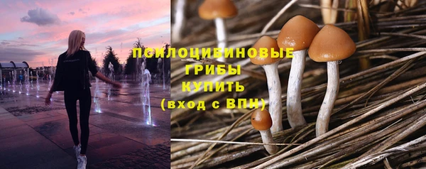 сатива Дмитриев