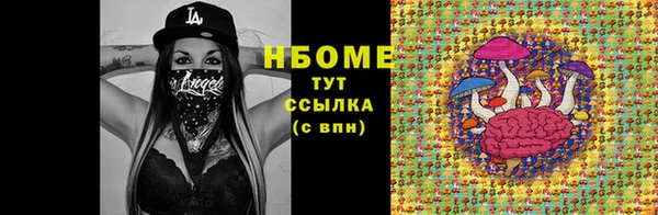 сатива Дмитриев