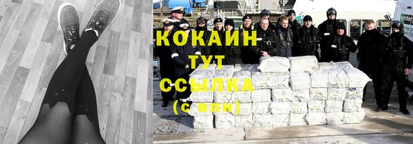 сатива Дмитриев