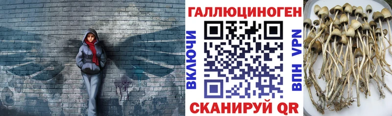 сколько стоит Емва Галлюциногенные грибы мицелий